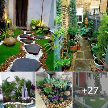 27 ideas for arranging a small garden in various corners, adding green space..lqh 27 ideas for arranging a small garden in various corners, adding green space..lqh