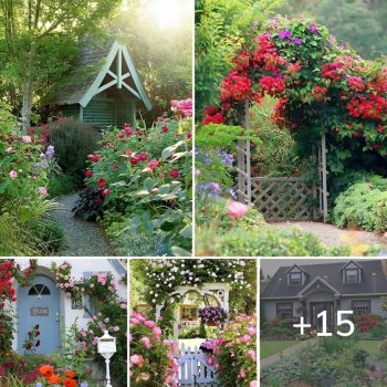 15 Vibrant Cottage Garden Layouts To Enchant You.lqh 15 Vibrant Cottage Garden Layouts To Enchant You.lqh