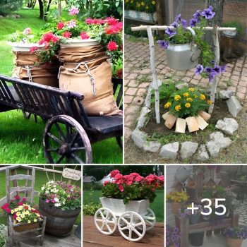 Creative ideas for garden: 35 cool examples.lqh Creative ideas for garden: 35 cool examples.lqh