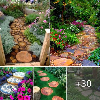 30 Popular Pieces of Decoration That Are Stepping Stones.lqh 30 Popular Pieces of Decoration That Are Stepping Stones.lqh