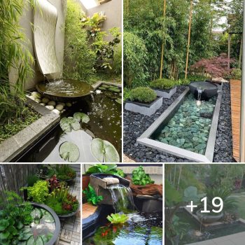 19 Amazing Water Fountain Ideas For Your Backyard.lqh 19 Amazing Water Fountain Ideas For Your Backyard.lqh