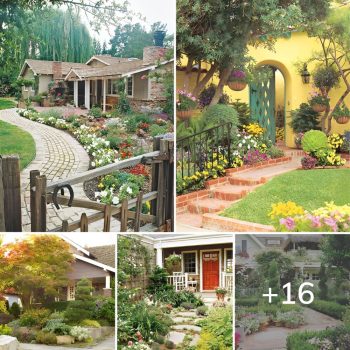 Front Yard Flower Bed Ideas for a Colorful and Bright Entryway.lqh Front Yard Flower Bed Ideas for a Colorful and Bright Entryway.lqh