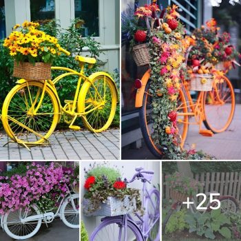 Quirky Pottery Decor Ideas for Your Bismarck Garden.lqh Quirky Pottery Decor Ideas for Your Bismarck Garden.lqh