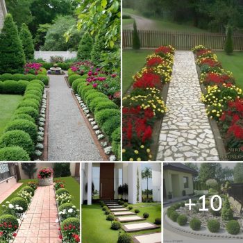 Impressive Exterior Footpath Design Ideas.lqh Impressive Exterior Footpath Design Ideas.lqh