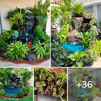 36 Ideas for “Small Ponds With Waterfalls” That You Will Love.lqh 36 Ideas for “Small Ponds With Waterfalls” That You Will Love.lqh