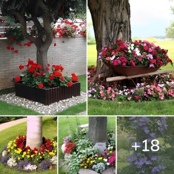 Flowers who loves shady places – ideas for arranging trees in yard.lqh Flowers who loves shady places – ideas for arranging trees in yard.lqh