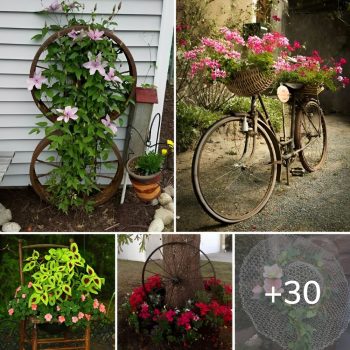 What kind of original DIY decorations we can make this summer in the garden.lqh What kind of original DIY decorations we can make this summer in the garden.lqh