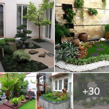 30+ Unique and Modern Minimalist Garden Ideas.lqh 30+ Unique and Modern Minimalist Garden Ideas.lqh