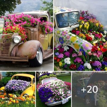Spectacular DIY car flower bed ideas.lqh Spectacular DIY car flower bed ideas.lqh