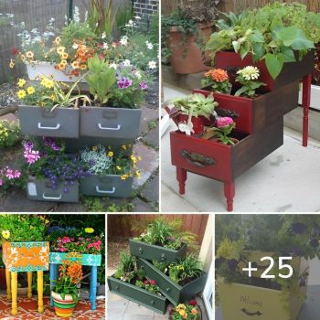 Unusual but beautiful DIY garden decorations from old drawers.lqh Unusual but beautiful DIY garden decorations from old drawers.lqh