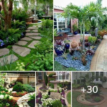30+ Best Front yard Design Ideas on a Budget.lqh