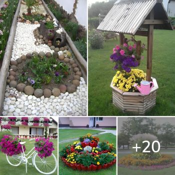 Interesting ideas for your flower beds (20 photos).lqh Interesting ideas for your flower beds (20 photos).lqh