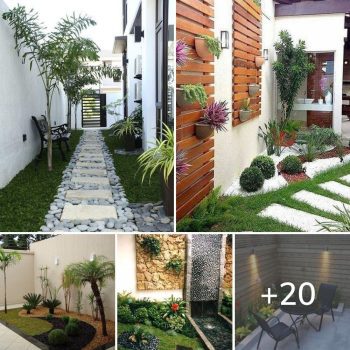 Excellent Ideas For Decorating Small Courtyards.lqh Excellent Ideas For Decorating Small Courtyards.lqh