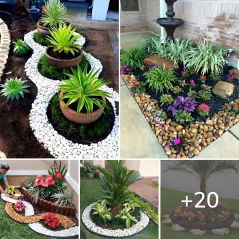 Creative Ideas to Make Small Garden with Rock.lqh Creative Ideas to Make Small Garden with Rock.lqh