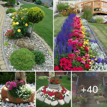 DIY flower bed landscaping: 40 wonderful ideas.lqh DIY flower bed landscaping: 40 wonderful ideas.lqh
