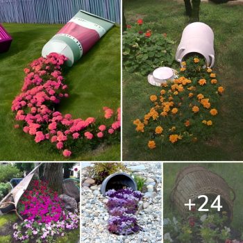 24 Appealing Spilled Flower Pots For Your Yard.lqh 24 Appealing Spilled Flower Pots For Your Yard.lqh