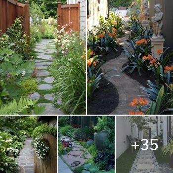 35 Exciting Side House Garden Ideas With Walkway.lqh