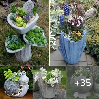 35 Amazing Ideas DIY for Homemade Outdoor Cement Planters.lqh 35 Amazing Ideas DIY for Homemade Outdoor Cement Planters.lqh