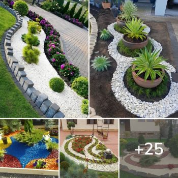 We decorate our flower beds with decorative gravel: 32 original ideas that will boost our garden to another level.lqh We decorate our flower beds with decorative gravel: 32 original ideas that will boost our garden to another level.lqh