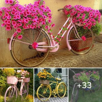 How to make a beautiful DIY garden planters with old bicycles.lqh How to make a beautiful DIY garden planters with old bicycles.lqh