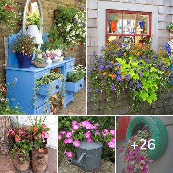 26 Easy-to-make Flower Planters.lqh 26 Easy-to-make Flower Planters.lqh