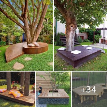 34 Cool and Inspiring Ideas for “Benches Around Trees”.lqh 34 Cool and Inspiring Ideas for “Benches Around Trees”.lqh