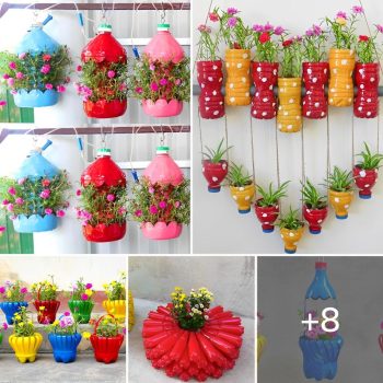 8 Fantastic methods to transform a plastic bottle into lovely flower pots.lqh 8 Fantastic methods to transform a plastic bottle into lovely flower pots.lqh
