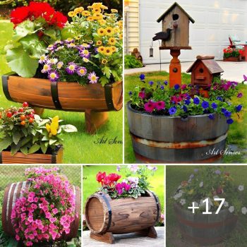 17 Intriguing Ways To Decorate Your Garden With Barrels.lqh 17 Intriguing Ways To Decorate Your Garden With Barrels.lqh