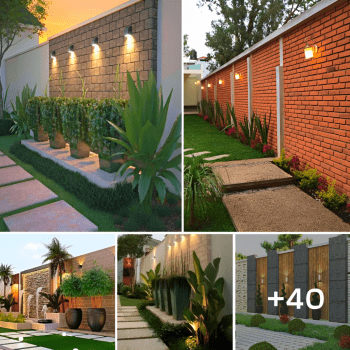 40 Beautiful Garden Along a Fence Ideas to Beautify Your Outdoor Space.lqh 40 Beautiful Garden Along a Fence Ideas to Beautify Your Outdoor Space.lqh