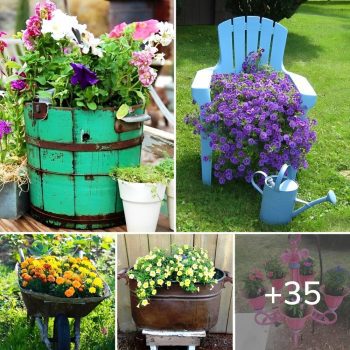 35 Great DIY Ideas for Original Garden Pots.lqh 35 Great DIY Ideas for Original Garden Pots.lqh