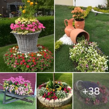 38 Beautiful and inexpensive DIY ideas to equip a flower garden in front of the house.lqh 38 Beautiful and inexpensive DIY ideas to equip a flower garden in front of the house.lqh