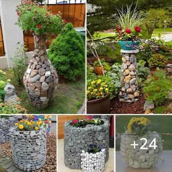 24 Brilliant GaƄion Plant Stand Design Ideas for the Garden.lqh 24 Brilliant GaƄion Plant Stand Design Ideas for the Garden.lqh