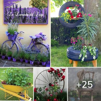 Magic in the garden with the help of spectacular flowers in original DIY planters.lqh Magic in the garden with the help of spectacular flowers in original DIY planters.lqh