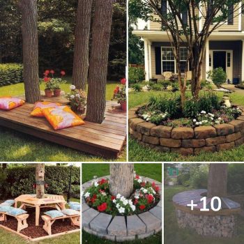 Creative Ideas to Decorate the Space around Trees.lqh Creative Ideas to Decorate the Space around Trees.lqh