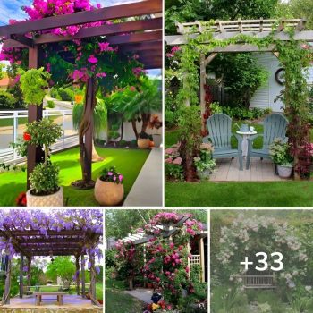 33 Awesome “Pergola” Ideas to Shade and Beautify Your Backyard.lqh 33 Awesome “Pergola” Ideas to Shade and Beautify Your Backyard.lqh