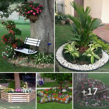 17+ Fascinating Flower Beds Around Tree.lqh 17+ Fascinating Flower Beds Around Tree.lqh