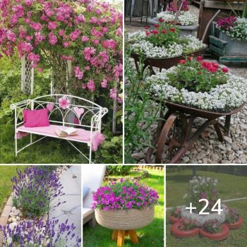 Flower Garden Images That Will Inspire You.lqh Flower Garden Images That Will Inspire You.lqh