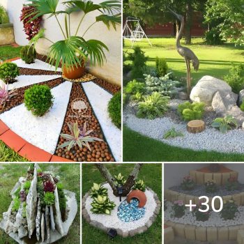 30 DIY Striking Rock And Pebble Art Landscaping Ideas.lqh 30 DIY Striking Rock And Pebble Art Landscaping Ideas.lqh