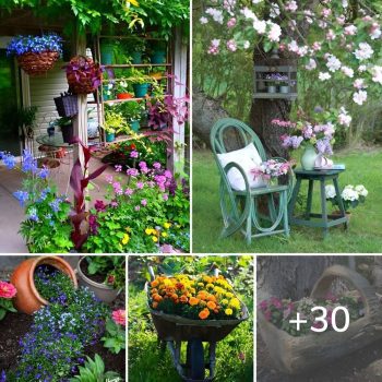 30 Great DIY ideas that will give more color to your garden, making it more attractive.lqh 30 Great DIY ideas that will give more color to your garden, making it more attractive.lqh