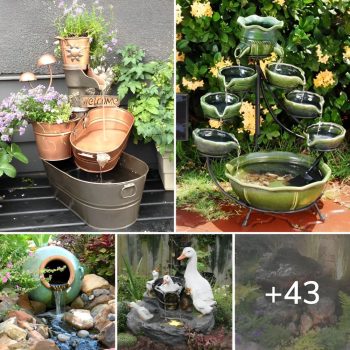 43 DIY Unique Backyard Water Features for The Upcoming Summer.lqh 43 DIY Unique Backyard Water Features for The Upcoming Summer.lqh