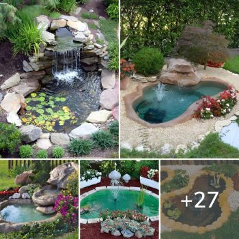 Easy and cheap DIY way to make a pond in the garden.lqh Easy and cheap DIY way to make a pond in the garden.lqh