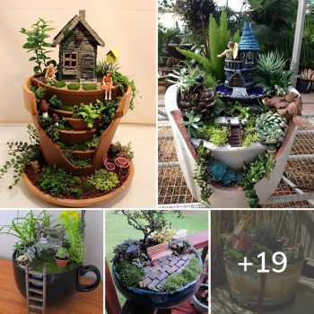 Magical Fairy Garden Ideas You & Your Kids Will Love.lqh Magical Fairy Garden Ideas You & Your Kids Will Love.lqh