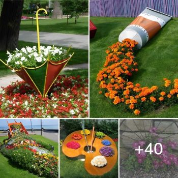40 Stunning “Flower Garden” Ideas That Will Brighten Up Your Outdoor Space.lqh 40 Stunning “Flower Garden” Ideas That Will Brighten Up Your Outdoor Space.lqh