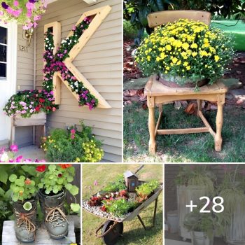 28 Unbelievable DIY Upcycled Garden Projects.lqh 28 Unbelievable DIY Upcycled Garden Projects.lqh