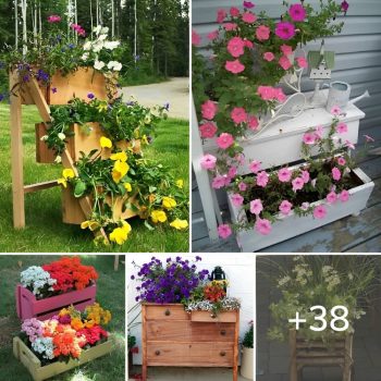 Wooden planter ideas: 38 Great DIY models for growing plants and decorating.lqh Wooden planter ideas: 38 Great DIY models for growing plants and decorating.lqh