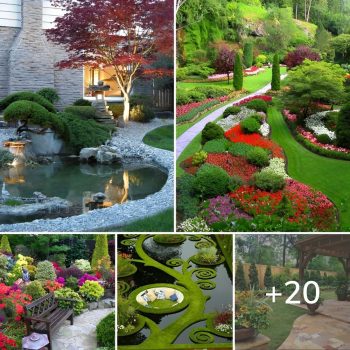 Wonderful Garden Designs That Will Take You Aback.lqh Wonderful Garden Designs That Will Take You Aback.lqh