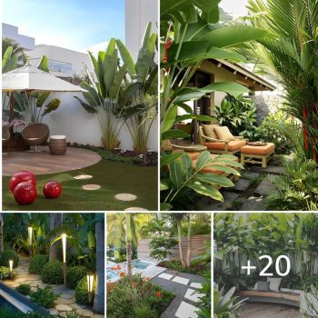 20 Inspiring Tropical Backyard Ideas.lqh 20 Inspiring Tropical Backyard Ideas.lqh