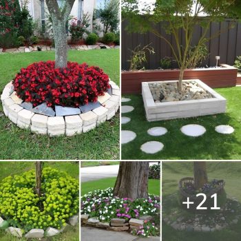 From neglected space to a garden showstopper: Stylish decorations and flower beds for under trees.lqh From neglected space to a garden showstopper: Stylish decorations and flower beds for under trees.lqh
