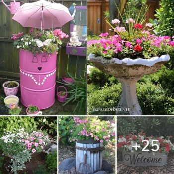 25 Low-budget Garden Container And Pot Ideas.lqh 25 Low-budget Garden Container And Pot Ideas.lqh