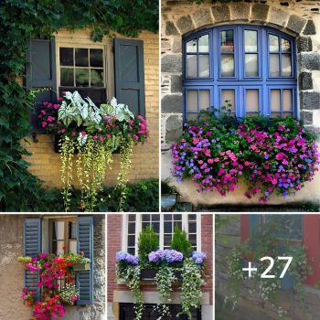 Ideas to Create a Stunning Garden Outside Your Window.lqh Ideas to Create a Stunning Garden Outside Your Window.lqh